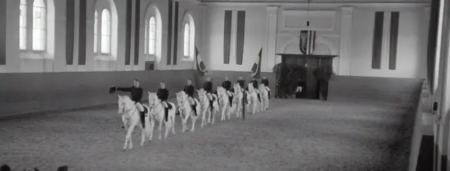 Productopleidingstraject 14: Paardenpiste