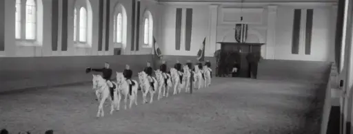 Productopleidingstraject 14: Paardenpiste