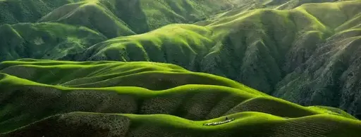 Productopleidingstraject 6: Gras, bodemverbeteraars & meststoffen