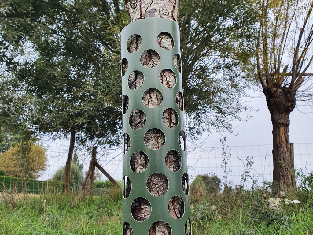 Tree Guard
